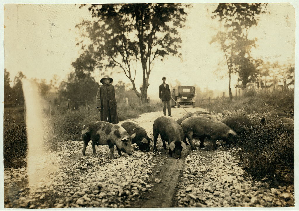 Lewis Hine 10